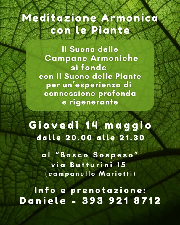 Meditazione Armonica con le Piante